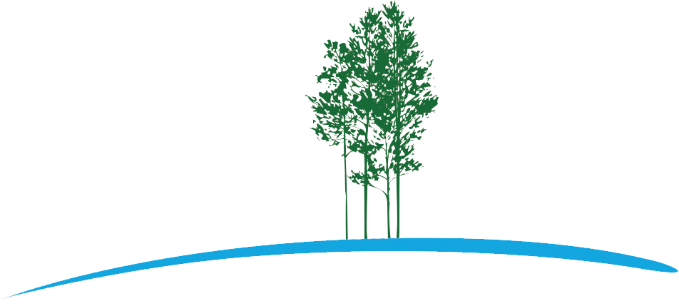 Official Logo of Cedar Brae